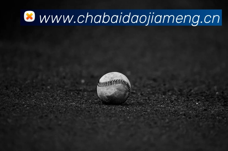 星空体育中国官方网站APP 封面图